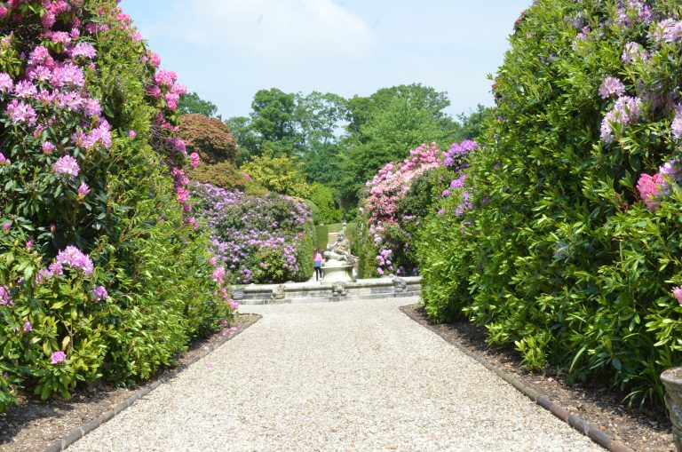 Litle Baddow Open Gardens Photo Gallery 2020