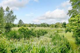 Update from the Council on Hurrells Lane Ford and Waterhall Reserve