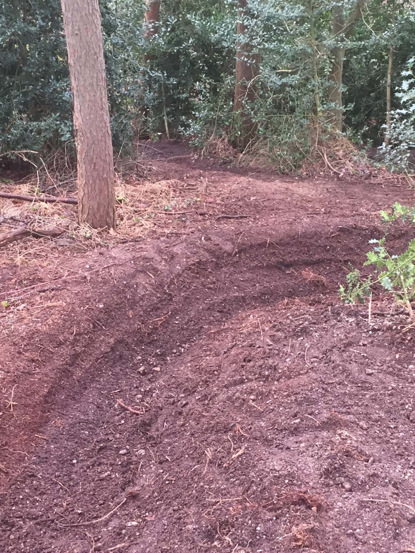 mountain bike tracks