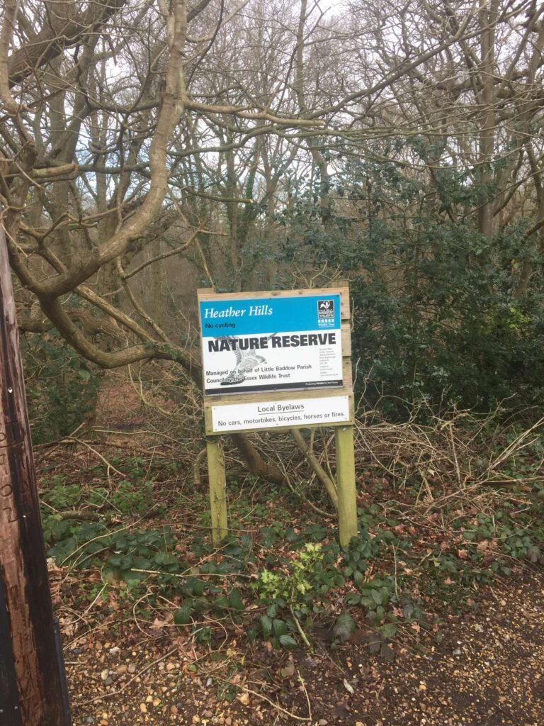 Mountain Biking on Heather Hills
